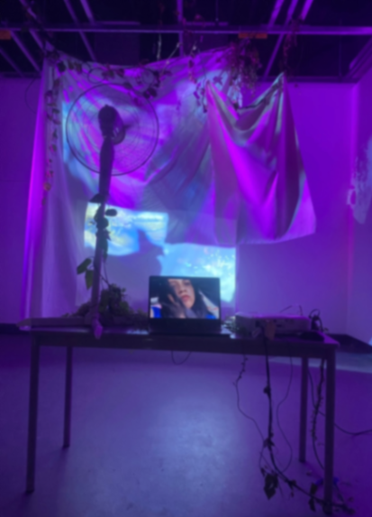 Danica Matis, work example 2