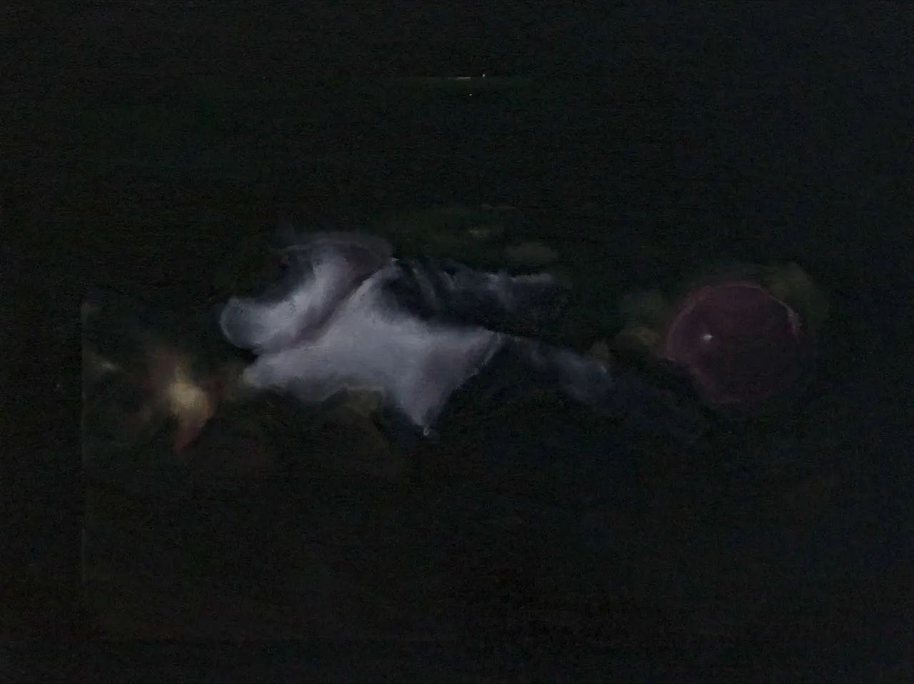 Chelsea Roberge, work example 2