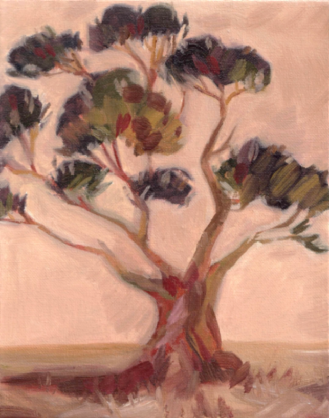 Siena Cowley, work example 6